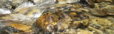 Photo Cours d'eau