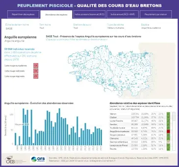 Aperçu du tableau de bord interactif