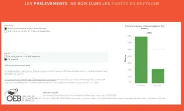 Les prélèvements de bois dans les forêts en Bretagne