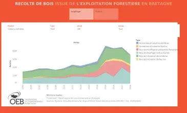Récolte de bois issue de l'exploitation forestière en Bretagne