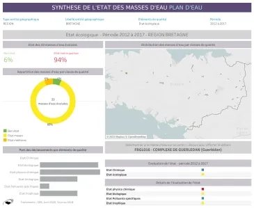 Synthèse de l'état des masses d'eau plan d'eau