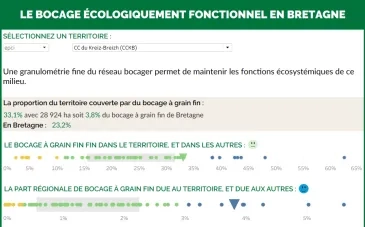 grain bocager fin en Bretagne