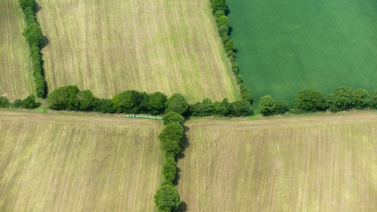 Photo Bocage et haies
