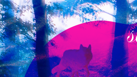 Se souvenir des loups 